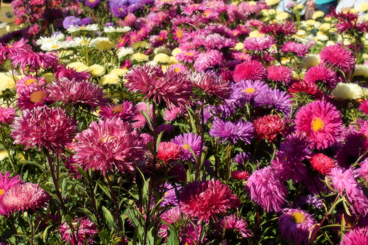 Астральное. - Татьяна Помогалова