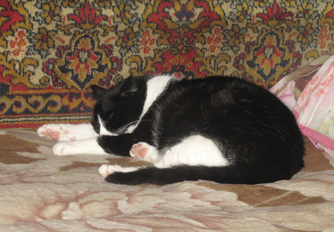 После прогулки - Людмила Смородинская После прогулки - Людмила Смородинская