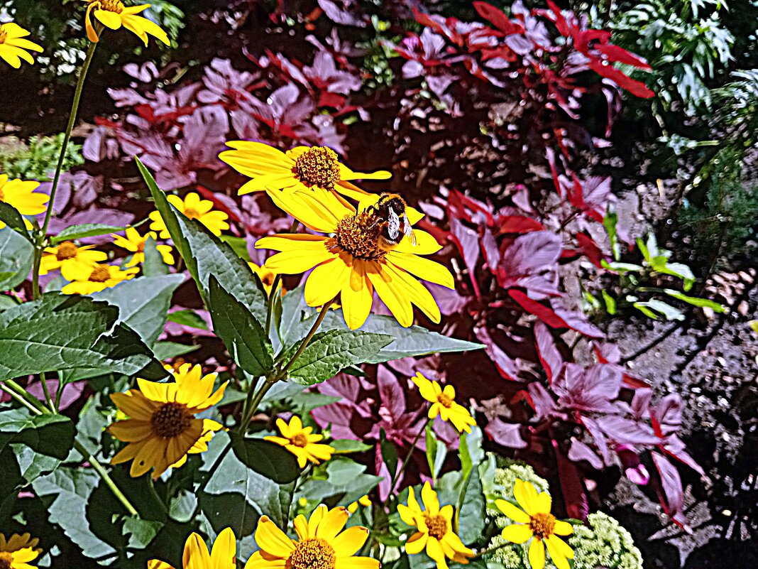 Цветы. - Владимир Драгунский Цветы. - Владимир Драгунский