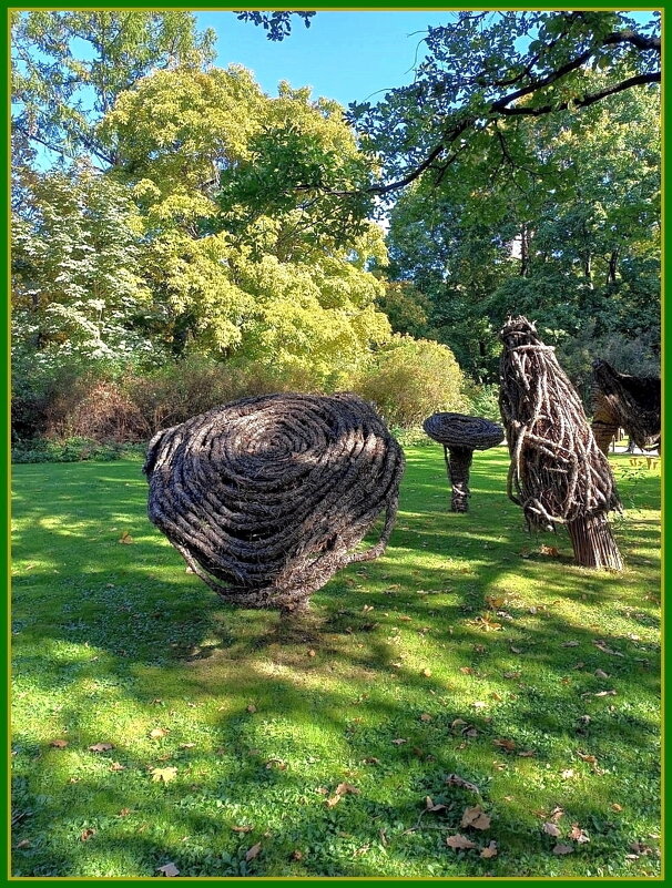 Причудливые скульптуры на газоне. - Ольга Довженко