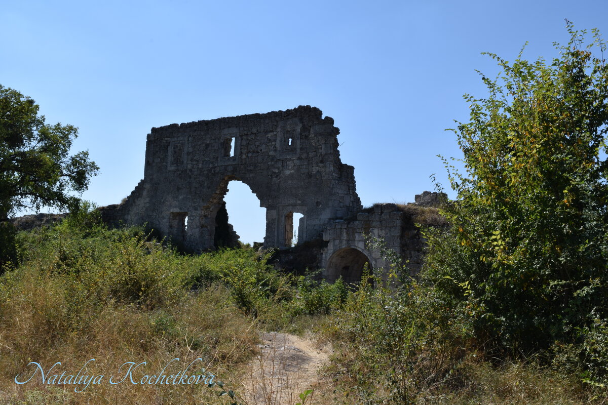 Природа Крыма - Amazing Cosmea
