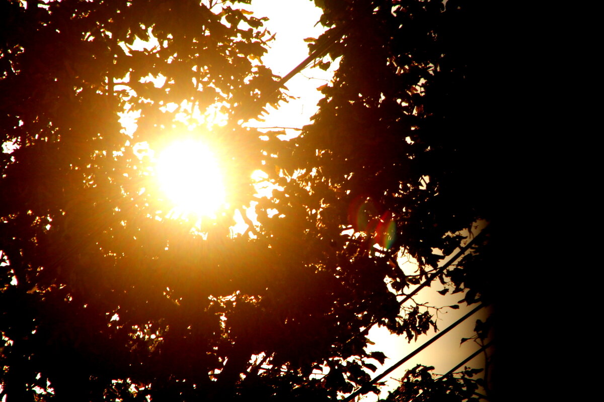 Утро - олег свирский 