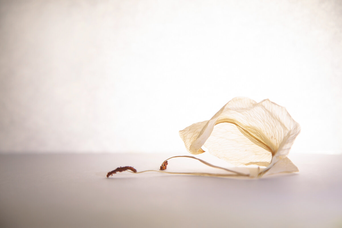 Об уставшей балерине... - Ирина С