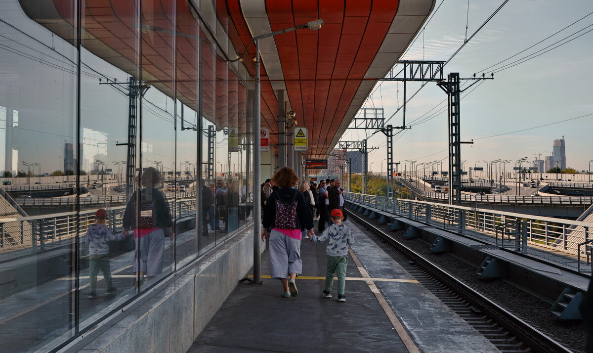 ... - Анастасия Смирнова