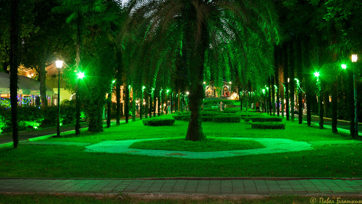 Вечер в парке - Pavel Blashkin