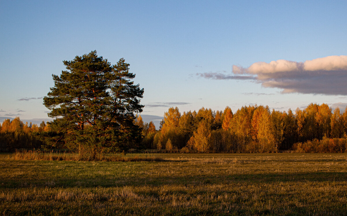 осень - Владимир Зеленцов
