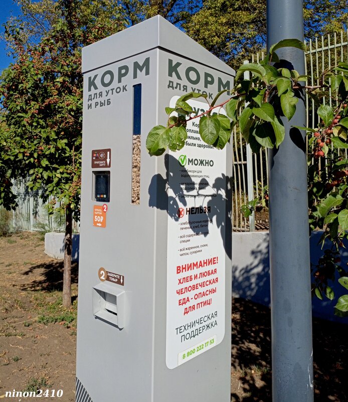 В ростовском экопарке Первая миля - Нина Бутко