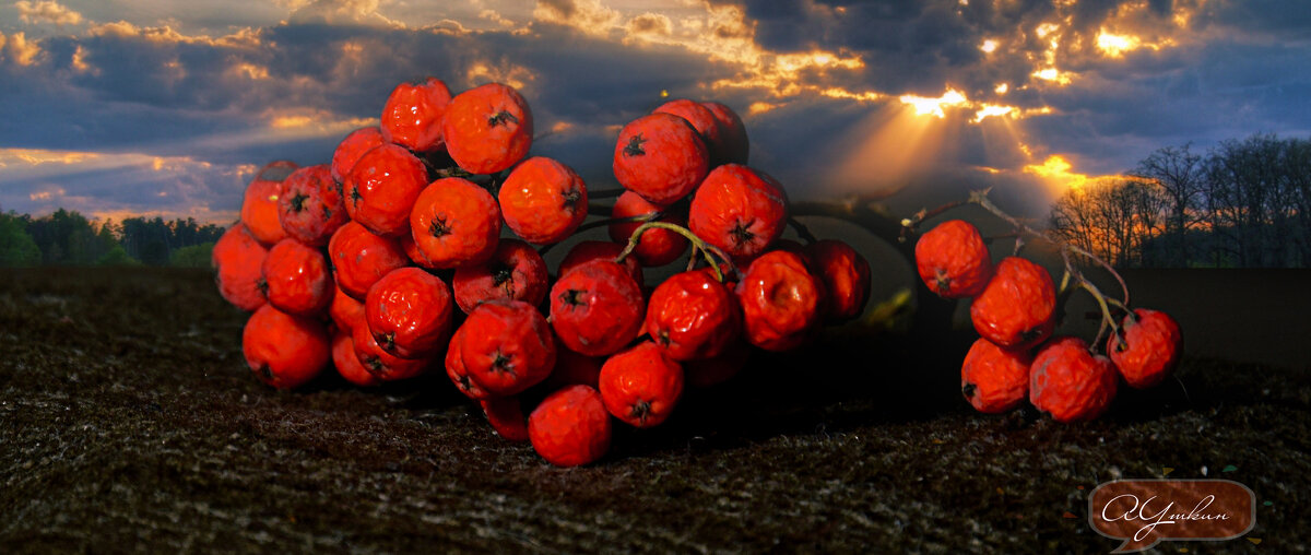 ********* - Анатолий Уткин