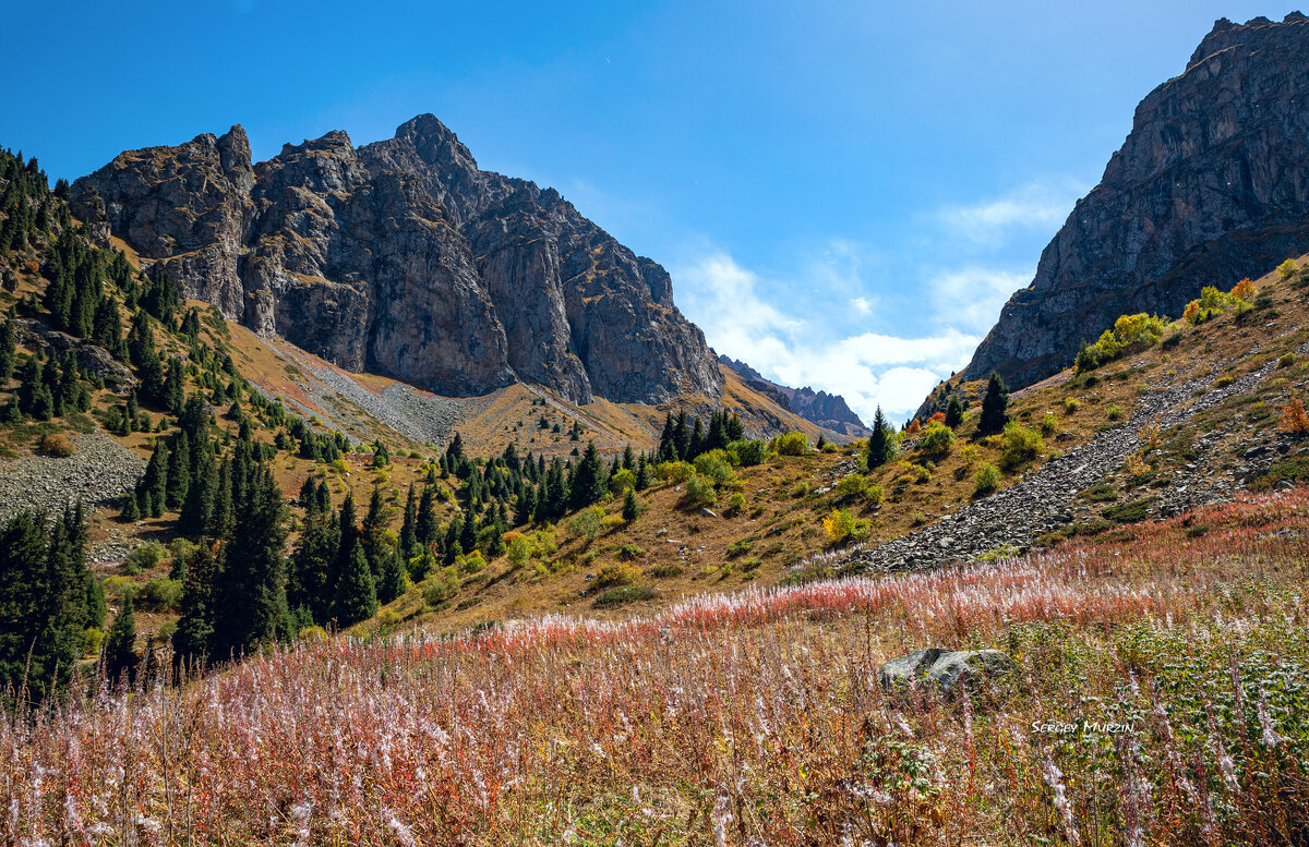 *** - Сергей Мурзин