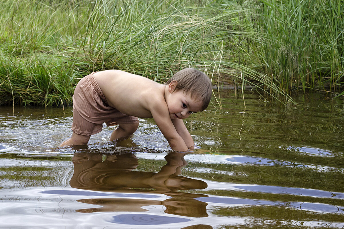В королевстве кривых зеркал - Регина 