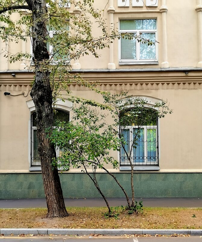 Дом на Шаболовке - Любимова Ольга 