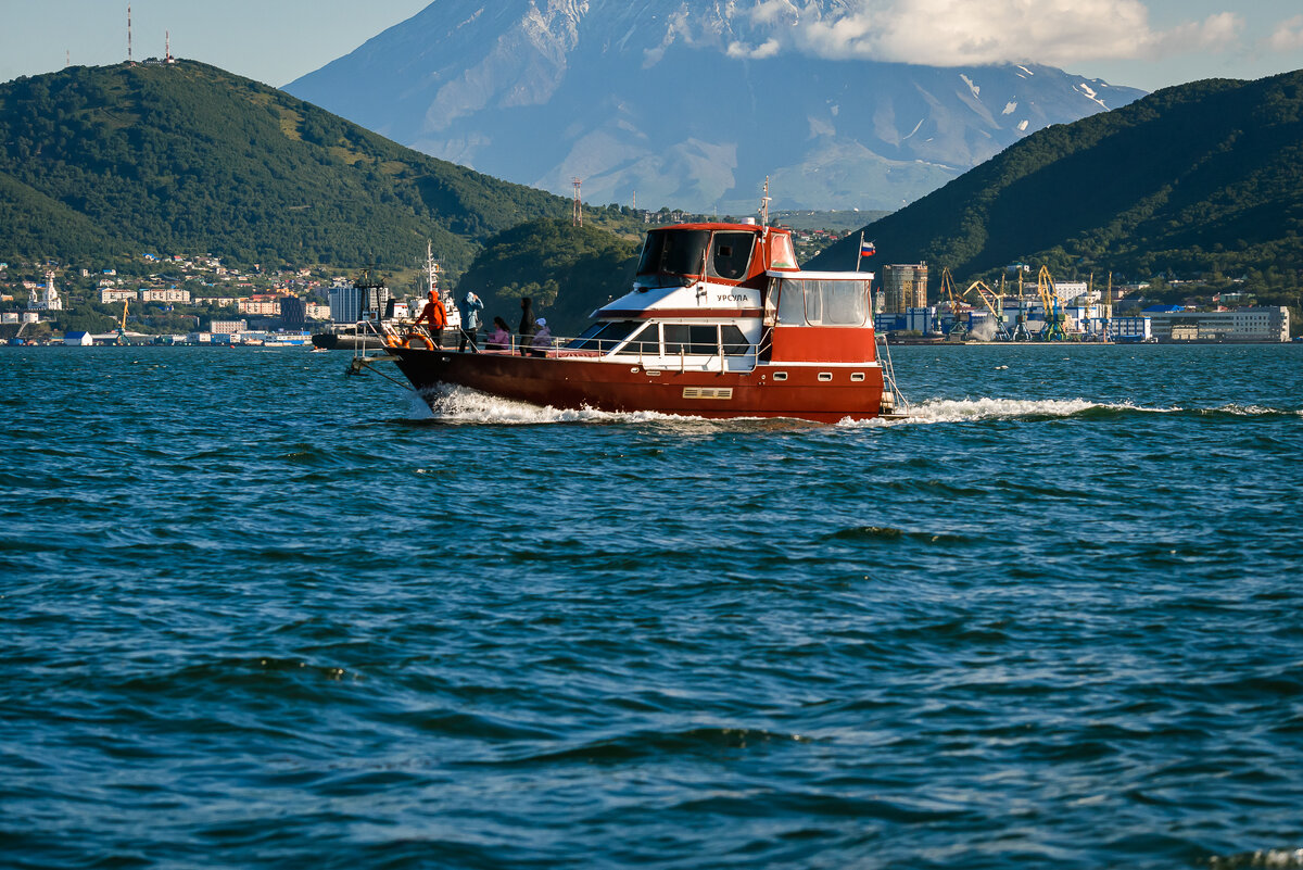 ... - Жора Житников