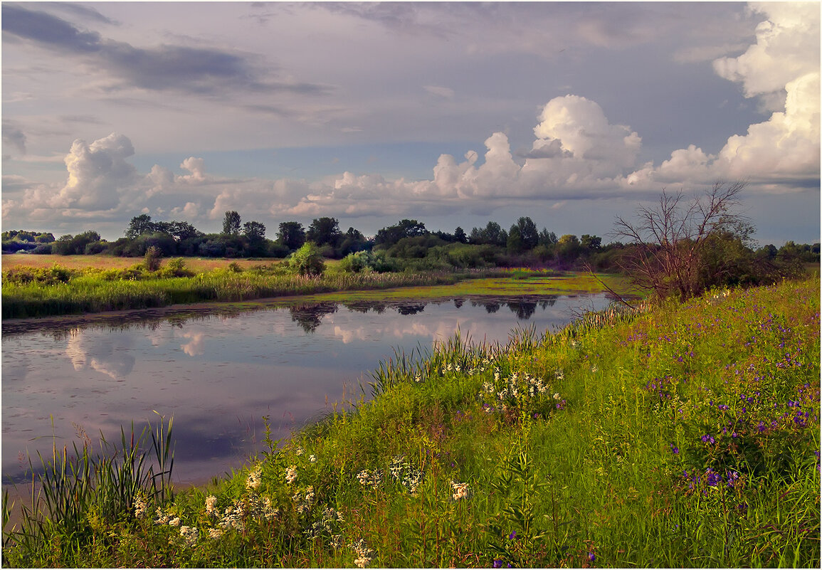 Летний вечер - Валентин Котляров