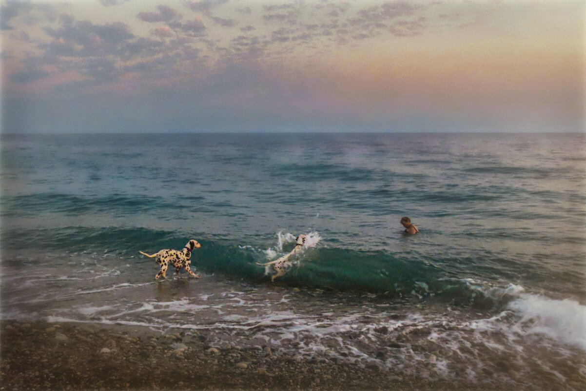 Преданней собаки нету существа - AZ east3