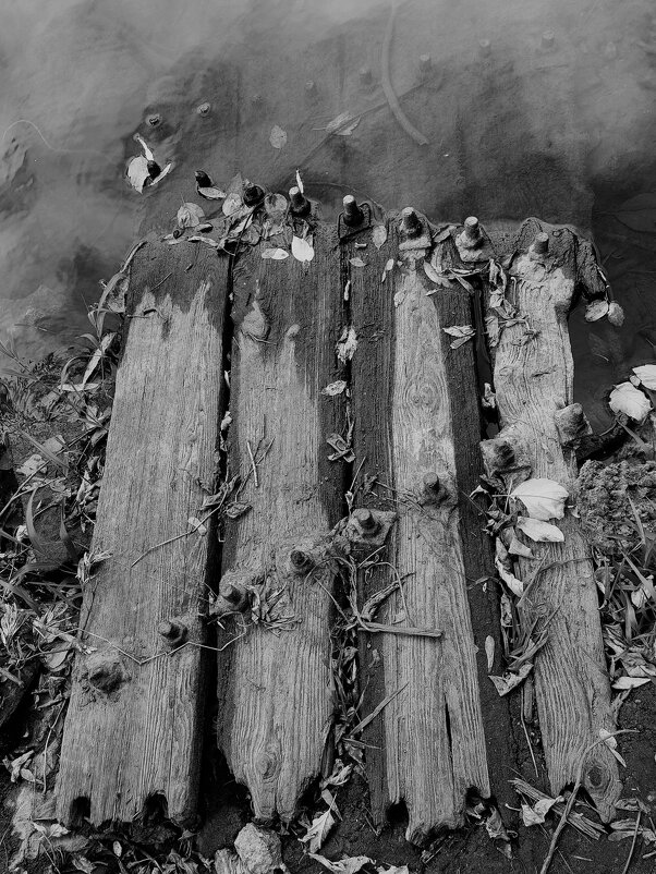 что то старинное в реке - Артём 