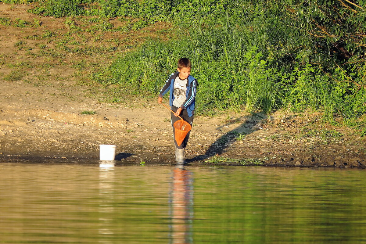 Т-ссс... не шуметь! - Валерий Судачок