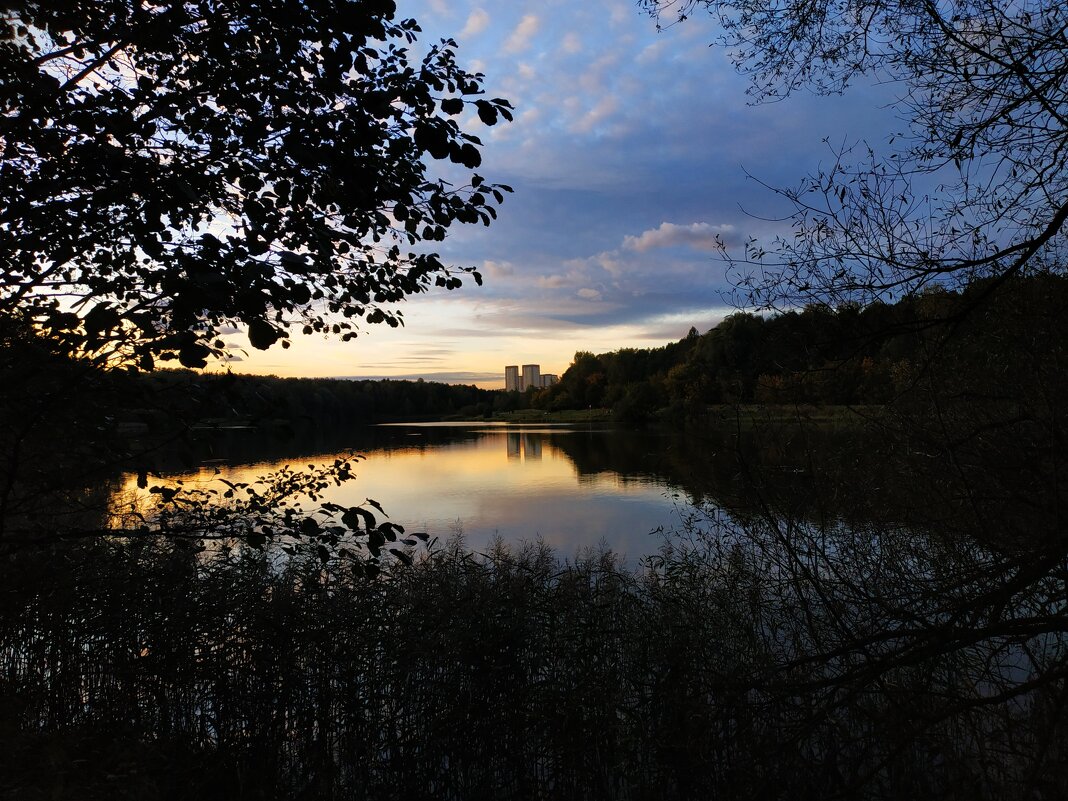 Закат на пруду - Андрей Лукьянов