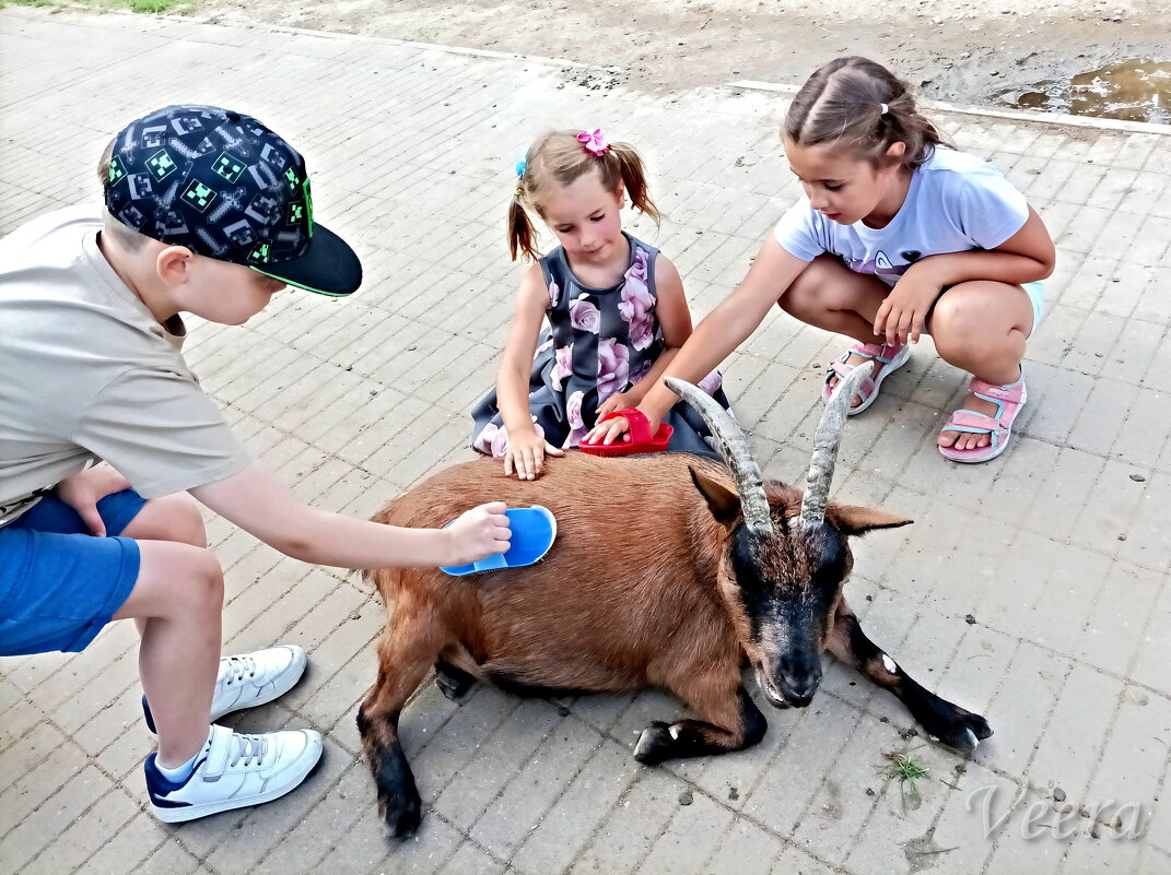 Ну почешите еще, еще) - Veera V