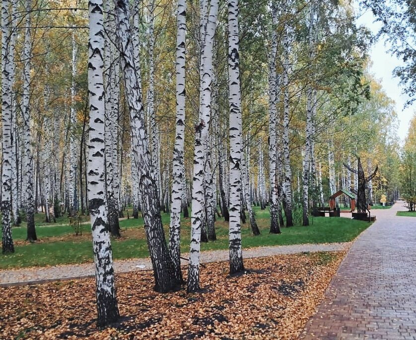 Осень в Тюмени - Георгиевич Осень в Тюмени - Георгиевич