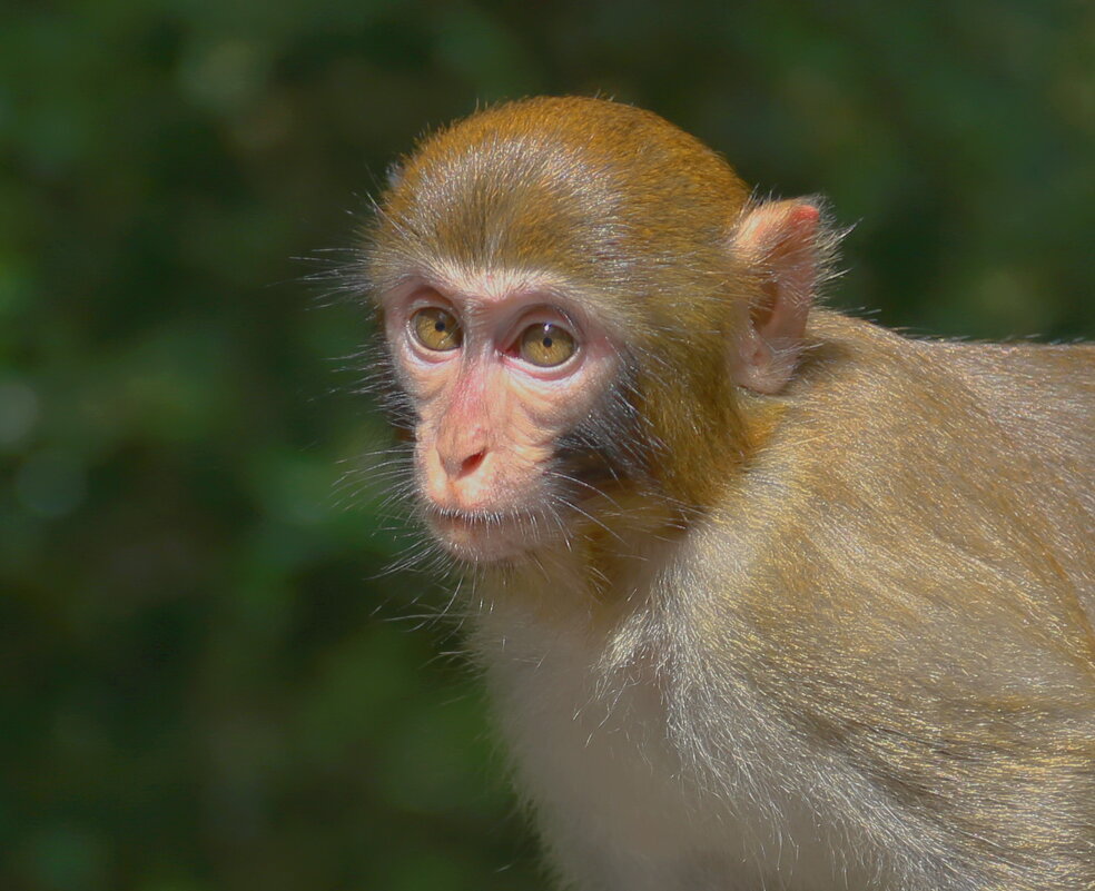 в раздумьях молодёж.... - Andrey Bragin 