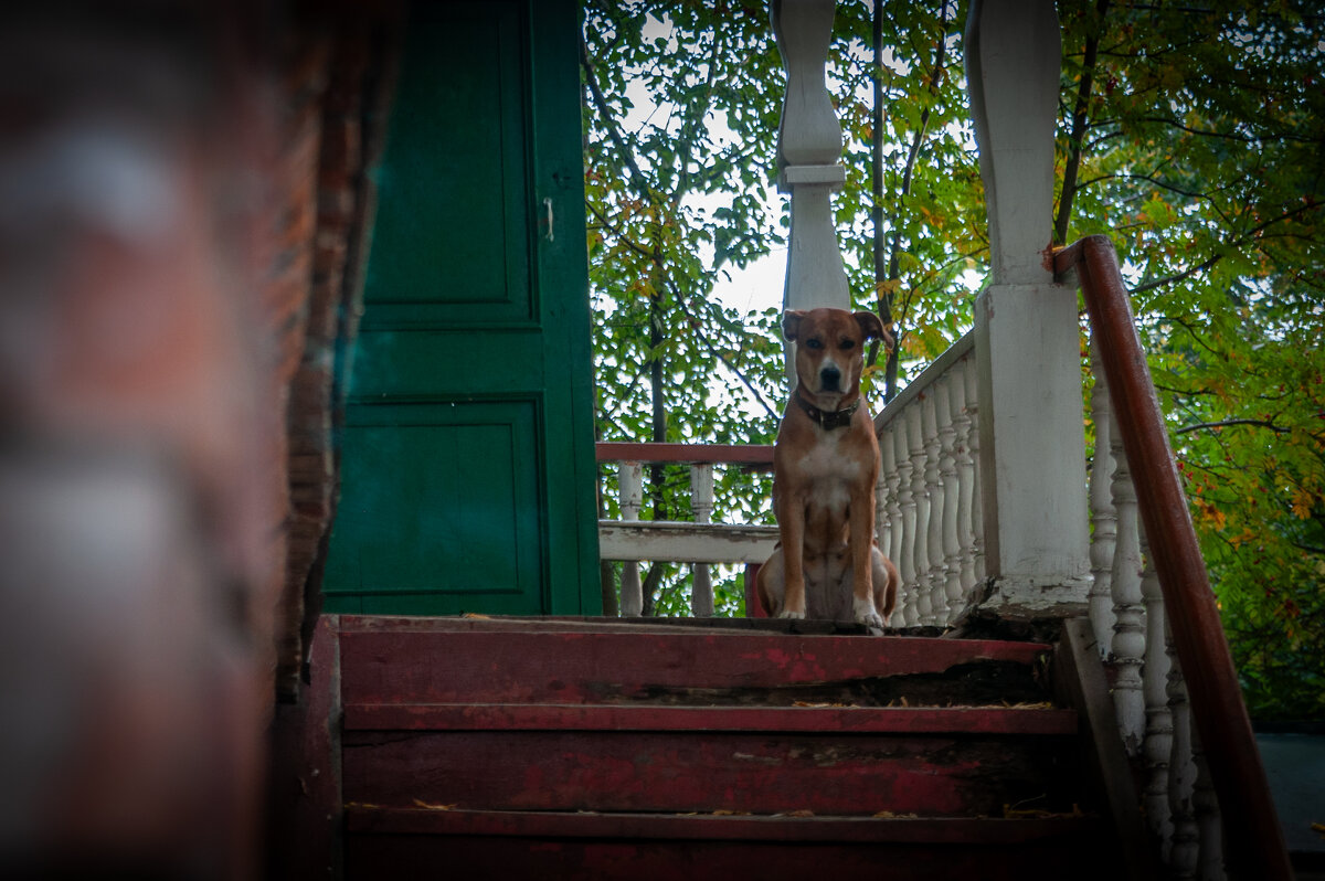 Чё нада?... - Prinz Eugen 