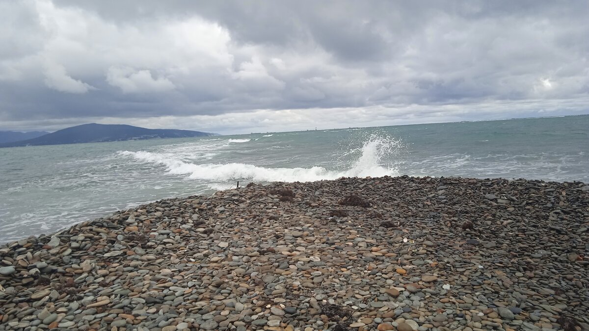 Новороссийск - Елена Шаламова