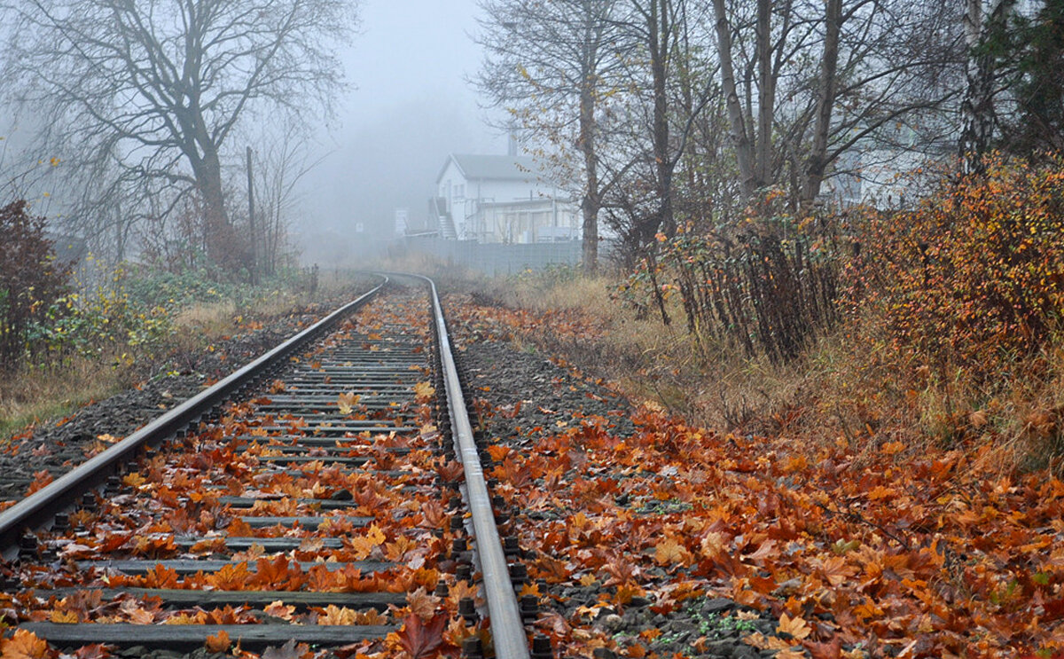 Навстречу осени - Галина Шеина-Мюльдорфер
