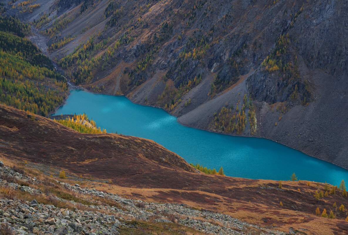 * - Александр Иванов