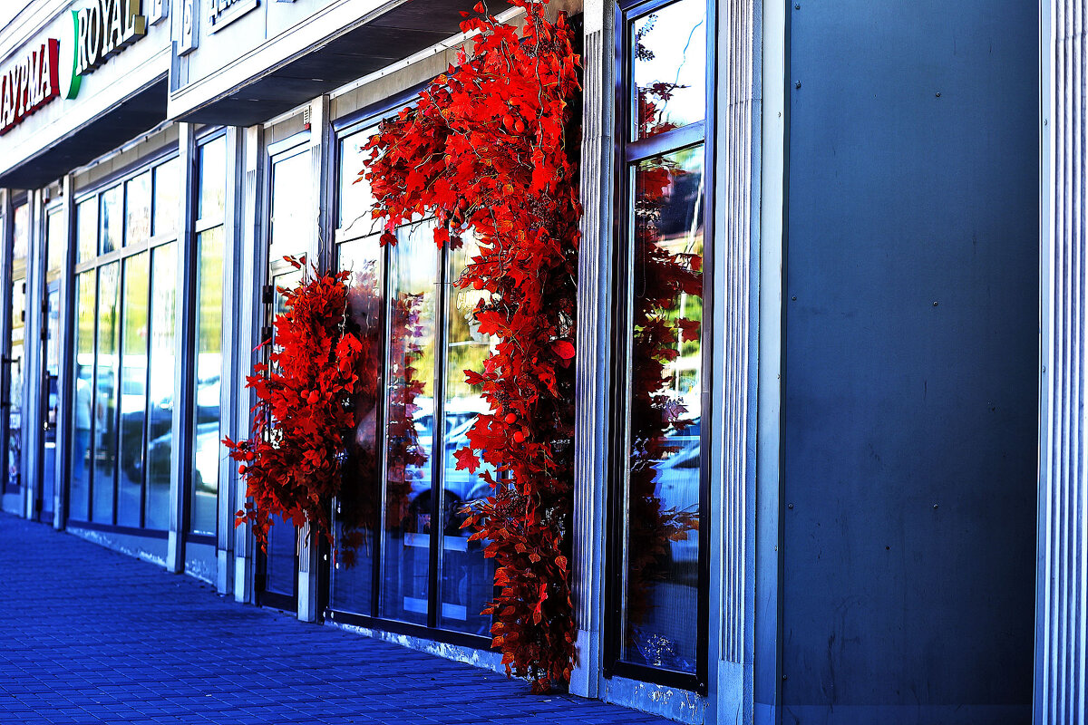 Приходите! - Юрий Гайворонскiий