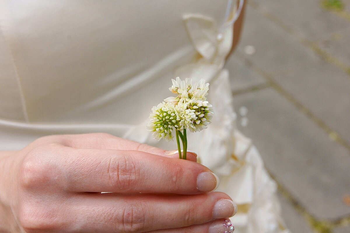 Микро-букетик из клевера для невесты... "На Счастье"... - Игорь Тельцов