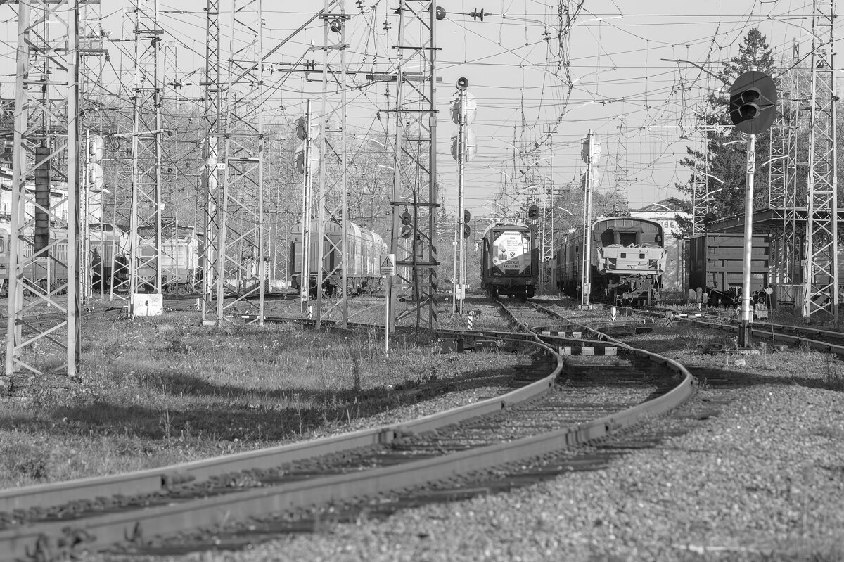 Полустанок. - Вадим Басов Полустанок. - Вадим Басов