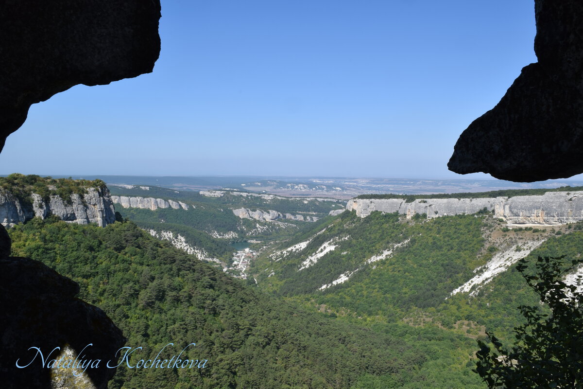 Природа Крыма - Amazing Cosmea