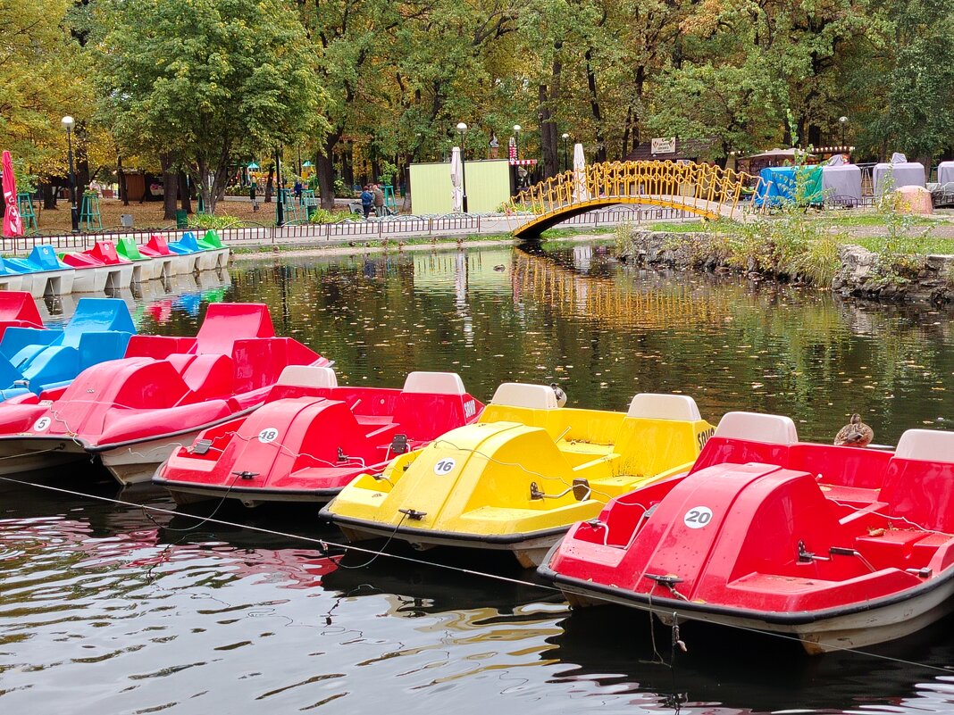 В парке им. Гагарина осенью. - Надежда 