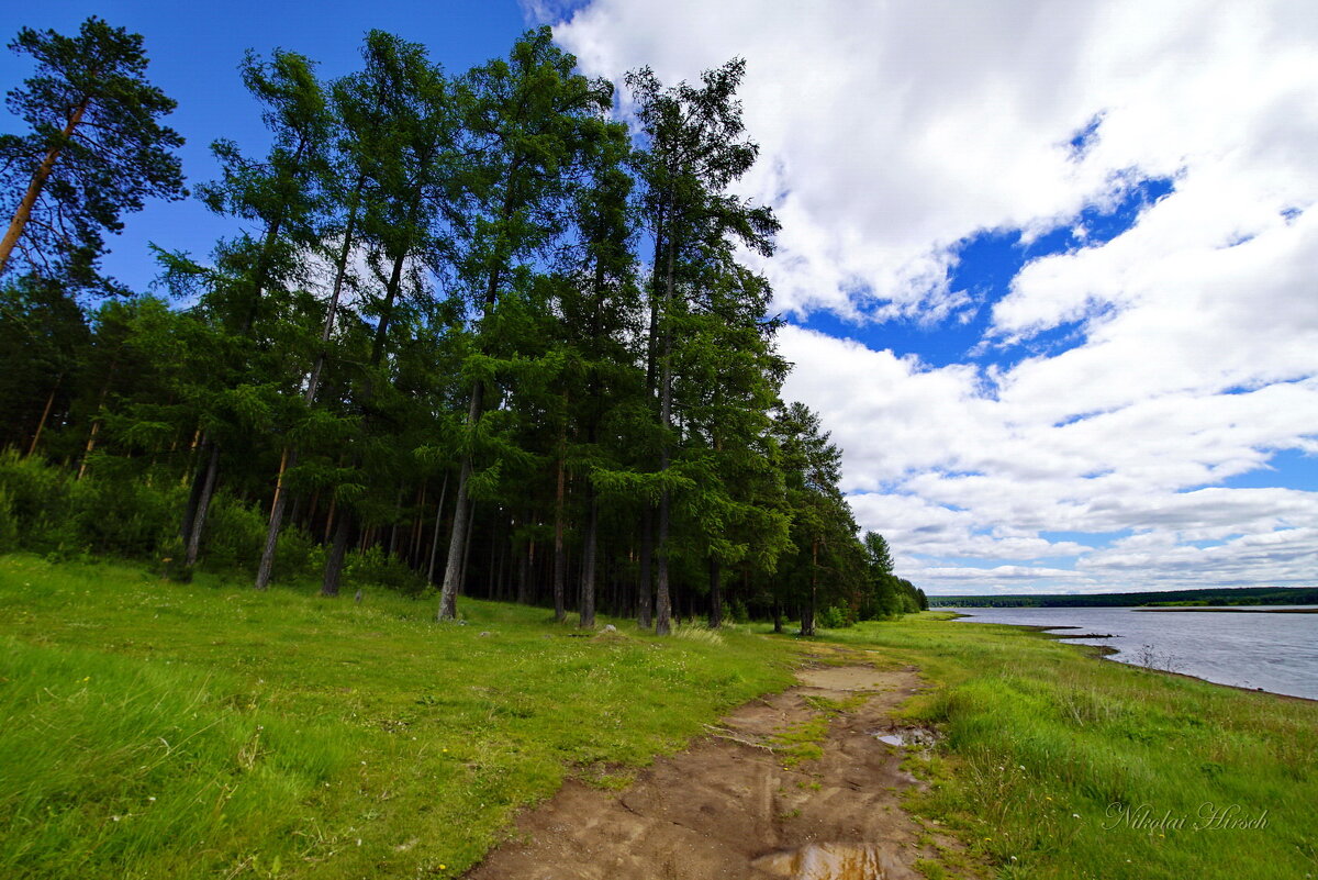 Вдоль реки... - Николай Гирш