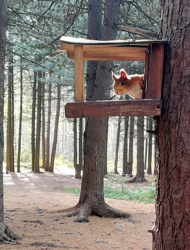 Привет ! - Мила Бовкун Привет ! - Мила Бовкун