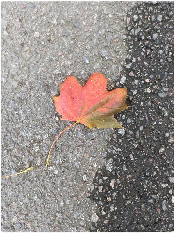 Про осень - Татьяна Осипова(Deni2048)