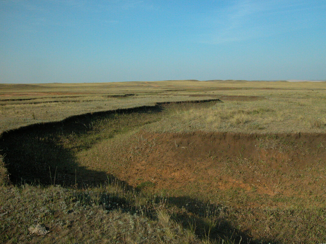 Степь да степь ... - Наталья Лунева 
