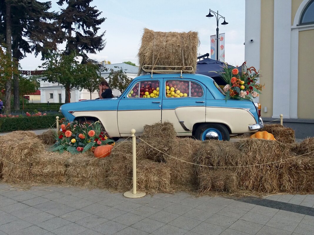 Щедрая осень - Galina Solovova