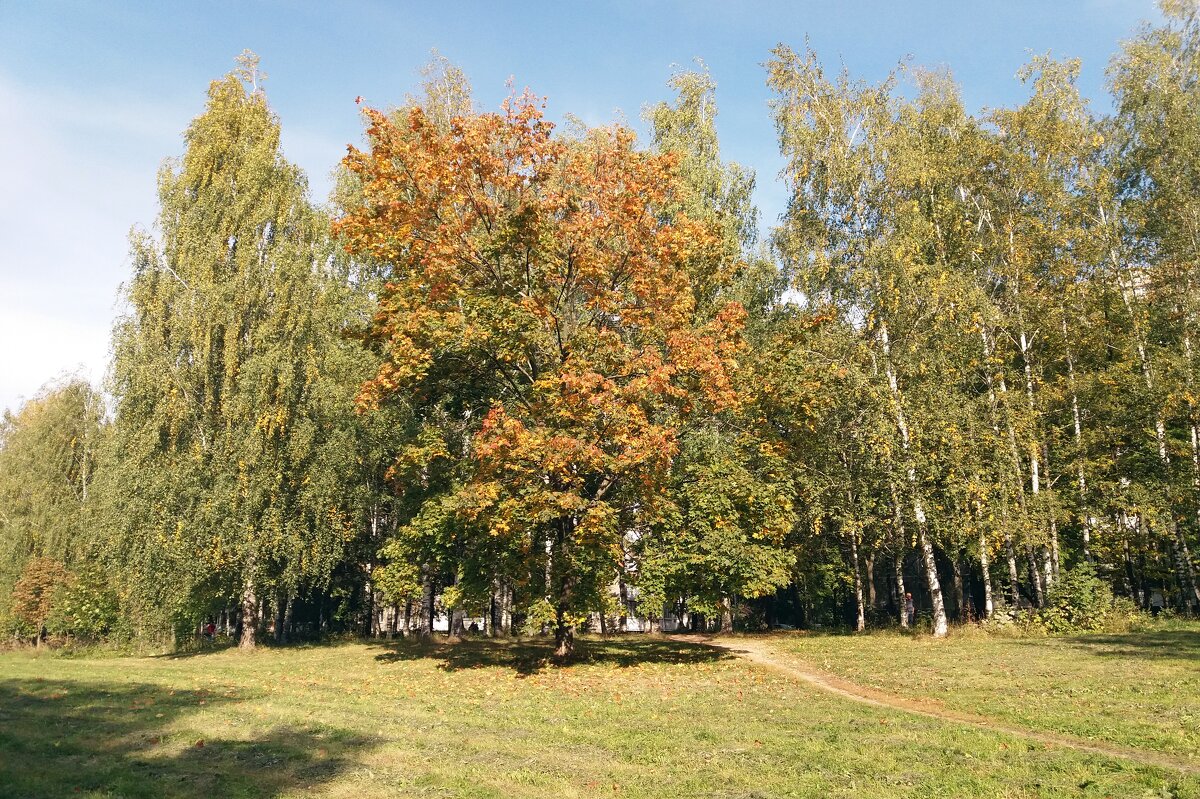 Осень - Galina Solovova Осень - Galina Solovova