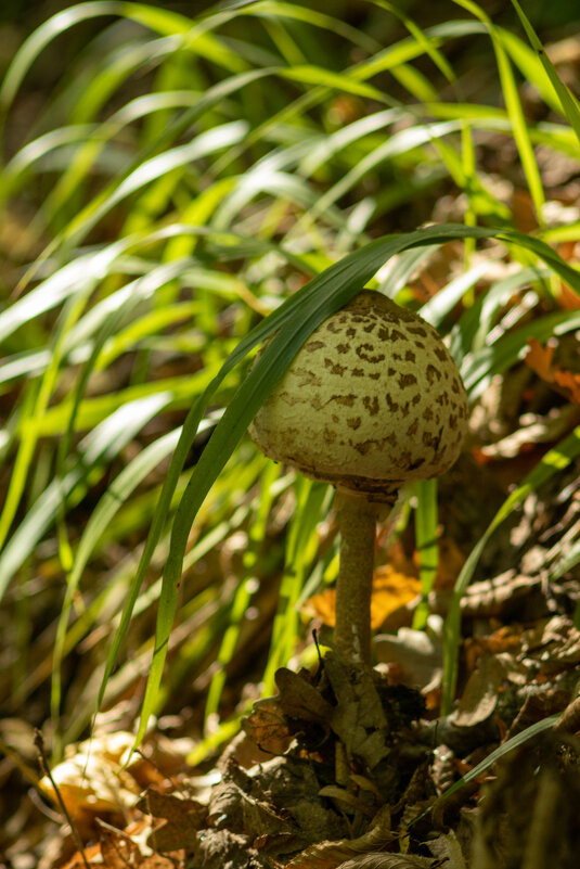 No name - Александр Алексеев