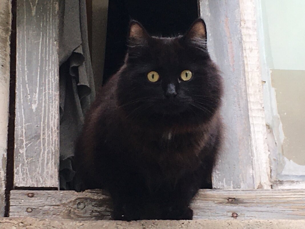 Ну улыбнись!... - Владимир Павлов