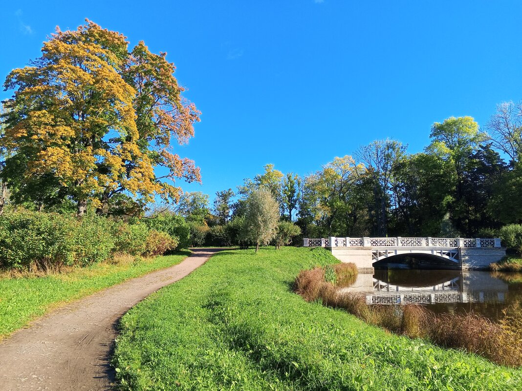 Осень - Сапсан 