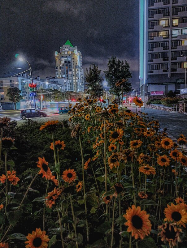 ...всем спокойной ночи.. - Георгий Никонов