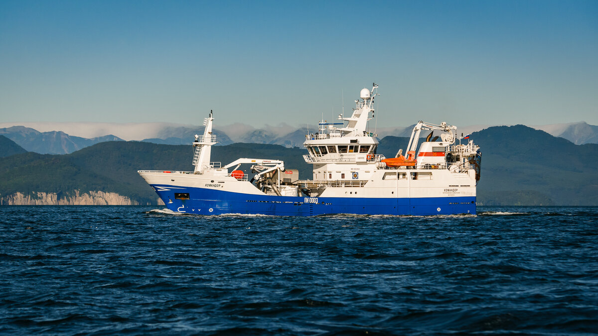 ... - Жора Житников