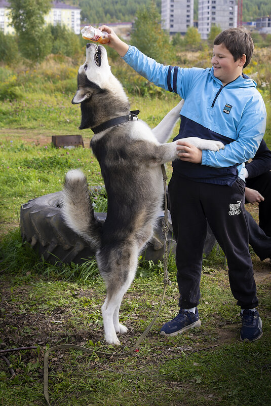 Ярик. - leff Postnov