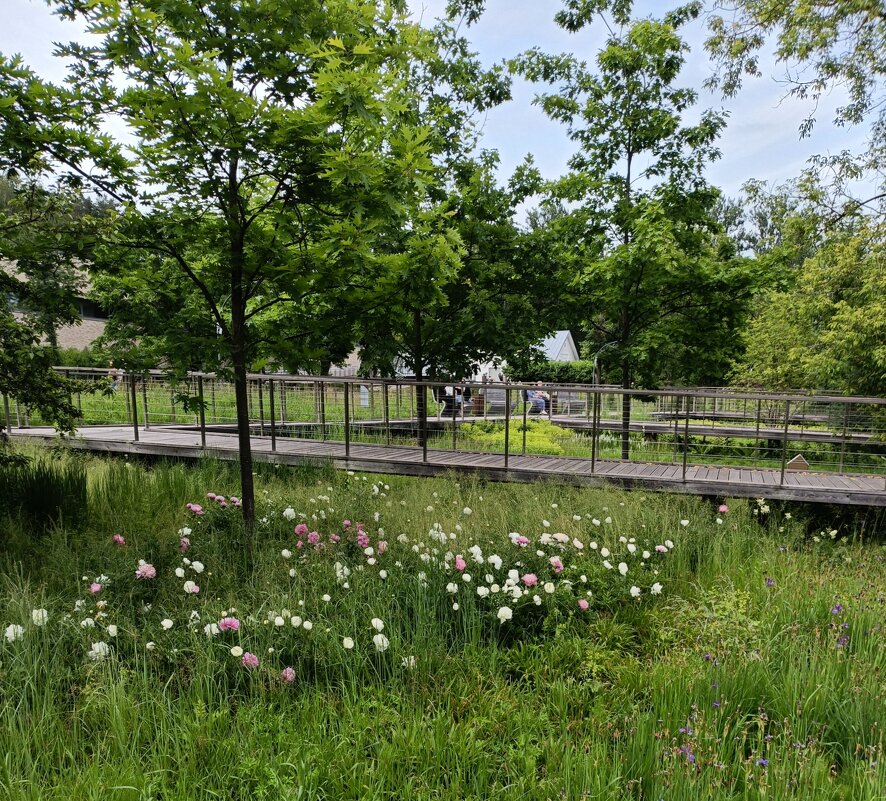 прогулки на природе - Галина R...