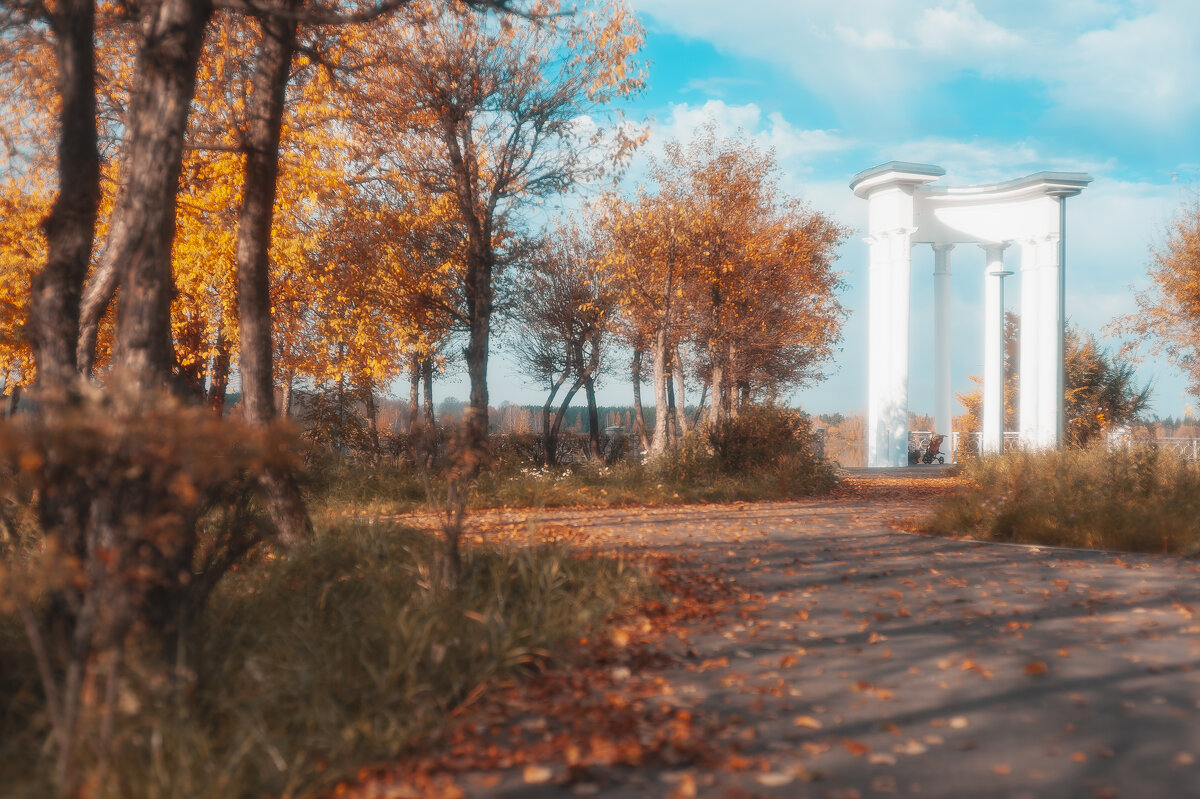 Осенняя элегия. - Вадим Басов