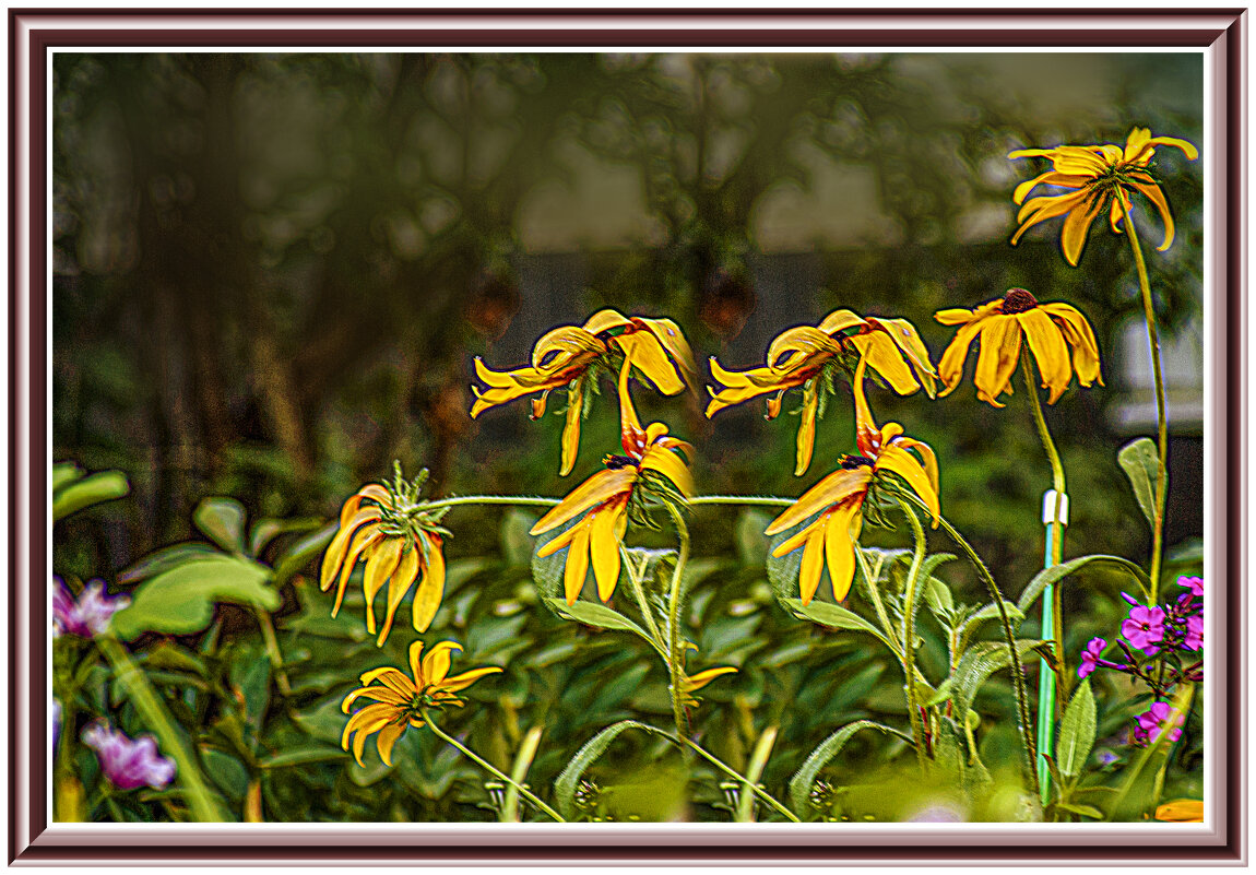 Осеннее - Владимир Кроливец