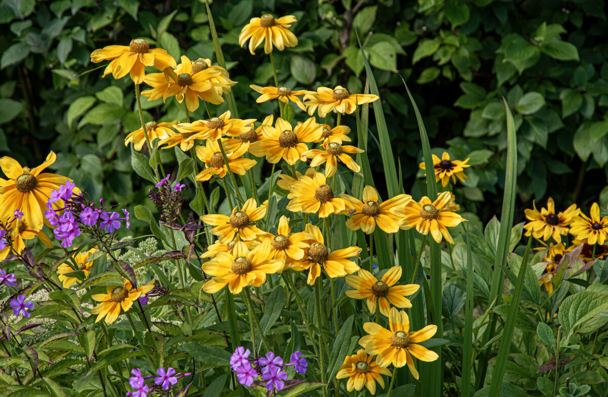 Цветы - Валерий Пославский Цветы - Валерий Пославский