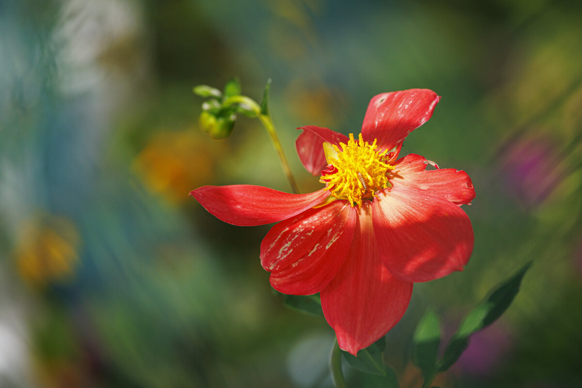 Осенние этюды - Светлана Тихонина
